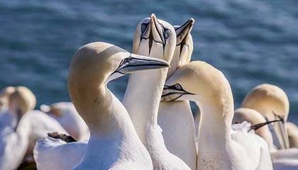 mk体育-华体会官方网：全方位体验引领体育梦想